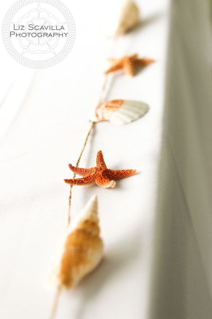 Seashell DIY Decor Weedding