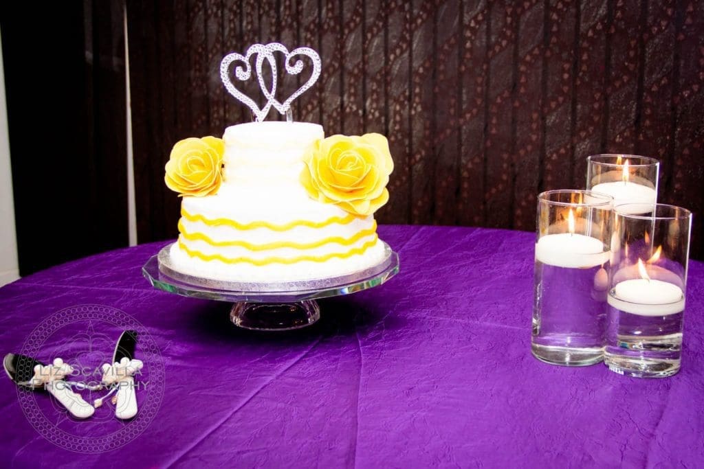 Same Sex Marriage Photography